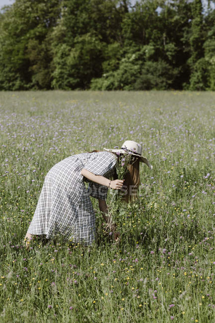 Italy, Veneto, Young woman plucking flowers and herbs in field — Stock Photo