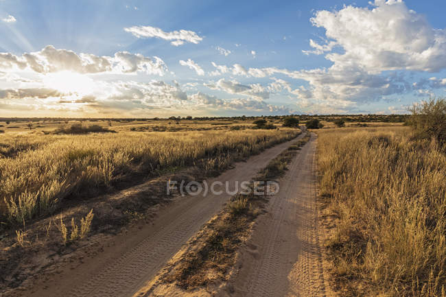 Afrika, Botswana, Kgalagadi grenzüberschreitender Park, Mabuasehube Wildreservat, Sandpfad bei Sonnenaufgang — Stockfoto