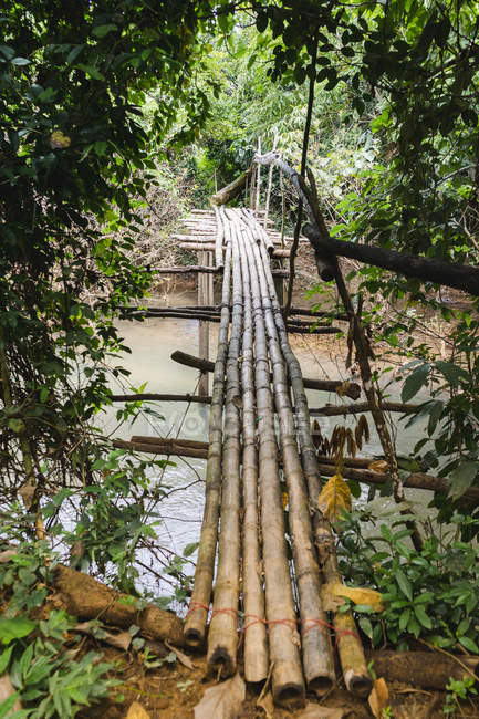 Laos, Vang Vieng, ponte sul fiume nella giungla — Foto stock