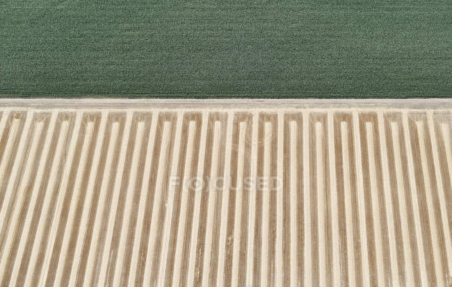 USA, aerea di un campo agricolo raccolto vicino a un campo di mais — Foto stock