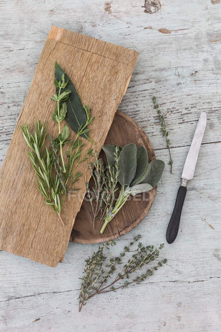 Ervas aromáticas, facas e tábuas de madeira, frescas — Fotografia de Stock