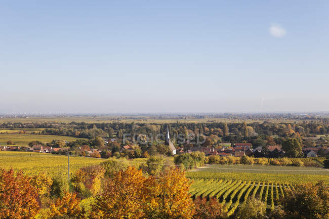 Germany,Rhineland-Palatinate, Pfalz, German Wine Route, wine village Forst and vineyards in autumn colours — Stock Photo