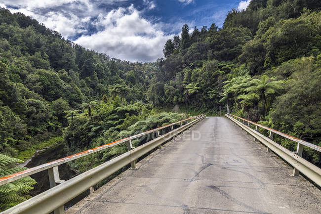 Nuova Zelanda, Isola del Nord, Taranaki, Dimenticata Autostrada del Mondo — Foto stock