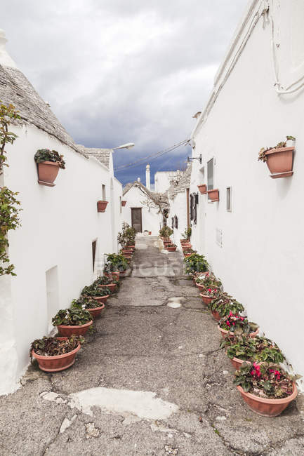 Italia, Apulia, Alberobello, vista al callejón con hileras de macetas - foto de stock