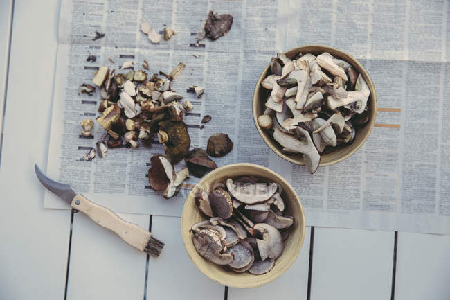 Two bowls of sliced wild mushrooms — Stock Photo