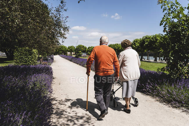 Старшая пара, идущая в парк, женщина с колесным ходунком — стоковое фото