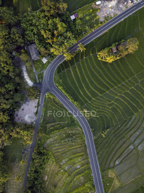 Indonesia, Bali, Vista aérea de los arrozales - foto de stock