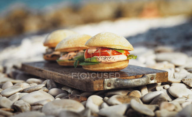 Close up of Panini with shrimps — Stock Photo