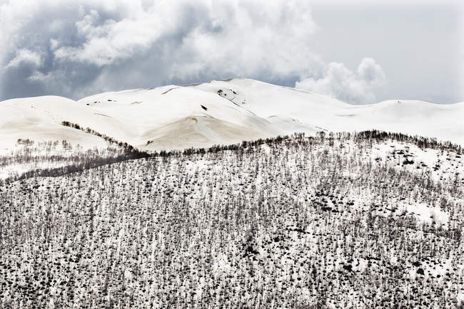 Грузія, Угулі, великий Кавказ, вкриті снігом — стокове фото