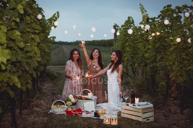 Freunde picknicken in einem Weinberg, brennende Wunderkerzen — Stockfoto