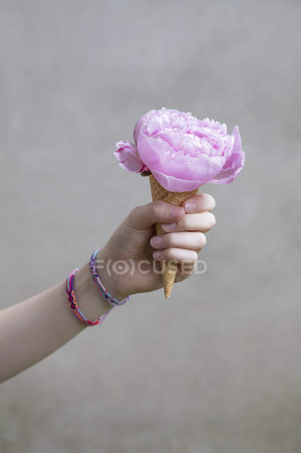 Mano de niña sosteniendo cono de helado con cabeza de flor de peonía rosa —  12 13 años, floración - Stock Photo | #270476546