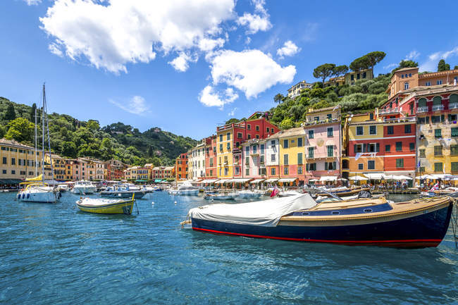 Italia, Liguria, Golfo del Tigullio, Portofino - foto de stock