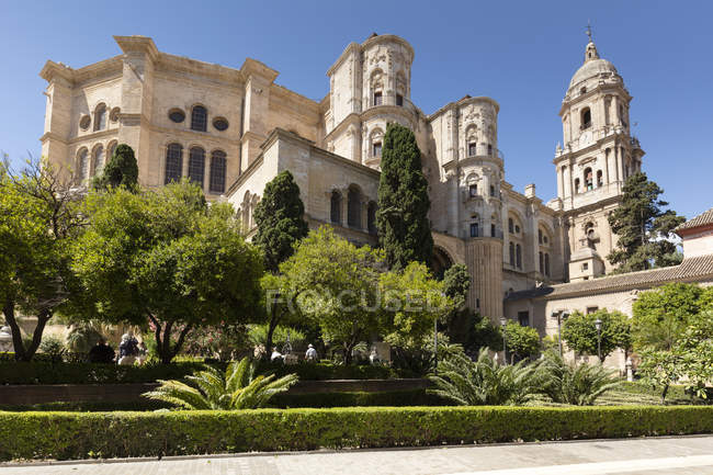 Іспанія, Андалусія, Малага, собор Малаги — стокове фото