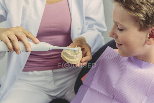 Жіночий стоматолог пояснює хлопцю, як чистити зуби за зразком зуба. — стокове фото