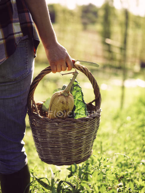 pet carrying basket