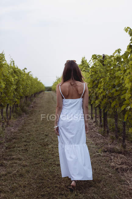 Donna vestita d'estate bianca, passeggiando in vigna, vista posteriore — Foto stock