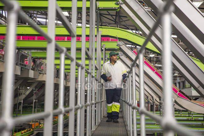 Worker walking through apple factory — Stock Photo