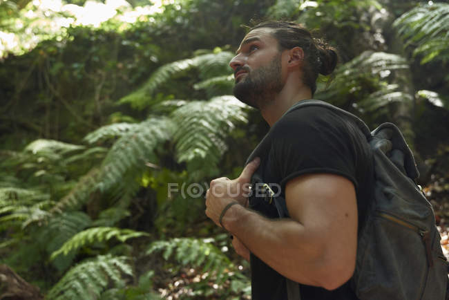 Escursionista maschio con zaino a piedi nella foresta — Foto stock