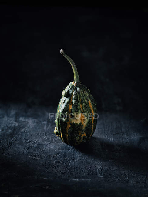 Tiny decorative gourd in front of dark background — Stock Photo