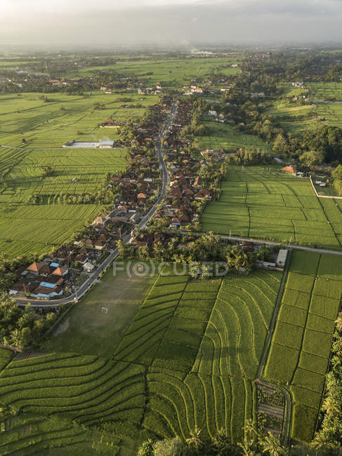Indonesia, Bali, Veduta aerea delle risaie — Foto stock