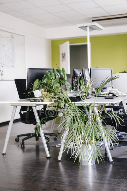Interior de la oficina moderna con plantas en maceta - foto de stock