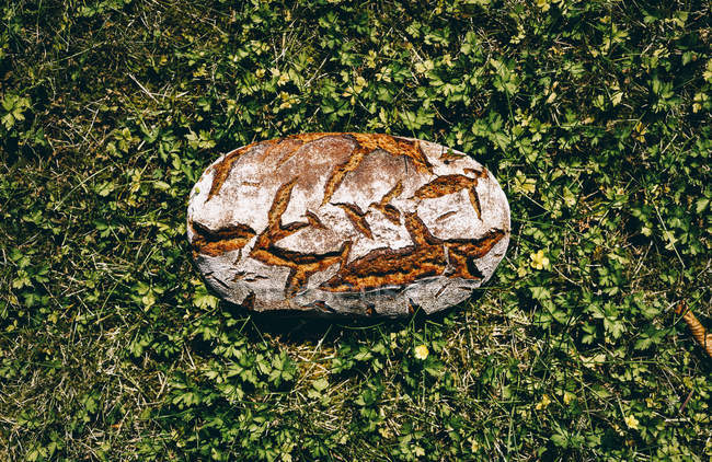 Хліб з коричневого хліба на траві — стокове фото