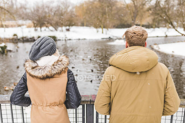 Vista posteriore della giovane coppia in piedi fianco a fianco nel parco in inverno — Foto stock