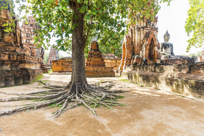 Thailand, Ayutthaya, ruins of Wat Mahathat — Stock Photo