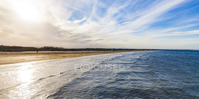 Schottland, fünfe, andrews, westlicher Sand, Strand — Stockfoto