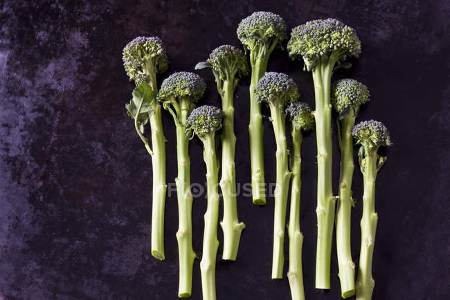 Vista dall'alto di germogliare broccoli — Foto stock
