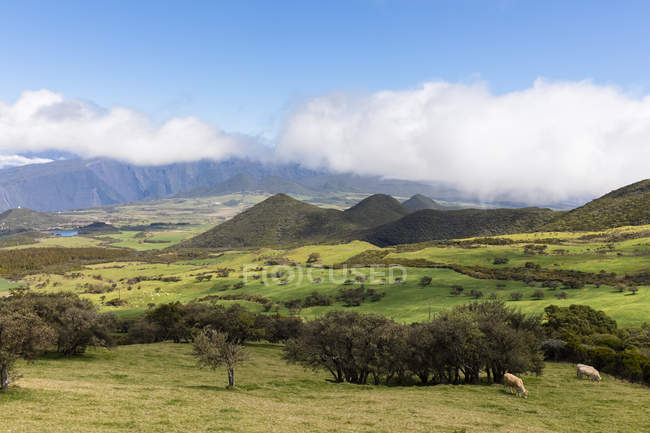Reunion, Reunion National Park, Route du volcan — Stock Photo