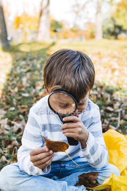 Little boy exploring autumn leaf with magnifying glass in nature — Stock Photo
