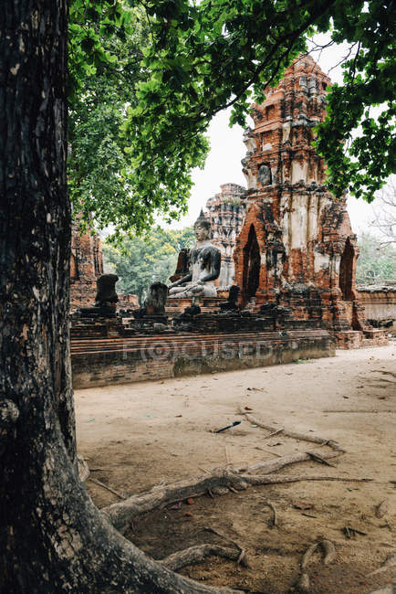 Thailand, Ayutthaya, Buddha statue surrounded by brick pagodes at Wat Mahathat — Stock Photo