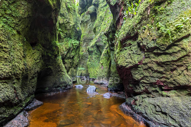 Großbritannien, Schottland, Trossachs Nationalpark, Finnich Glen Canyon, Teufelskanzel, River Carnock Burn — Stockfoto