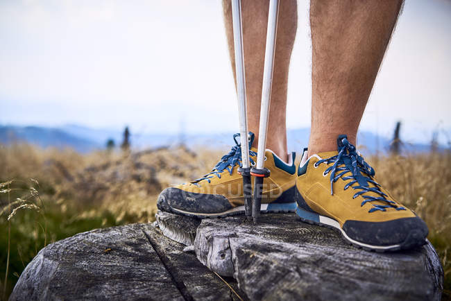 Nahaufnahme eines Mannes, der während einer Wanderung auf einem Baumstumpf steht — Stockfoto