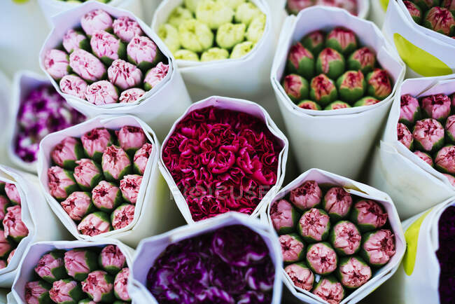China, Hong Kong, ramos de flores de colores en el mercado de flores - foto de stock