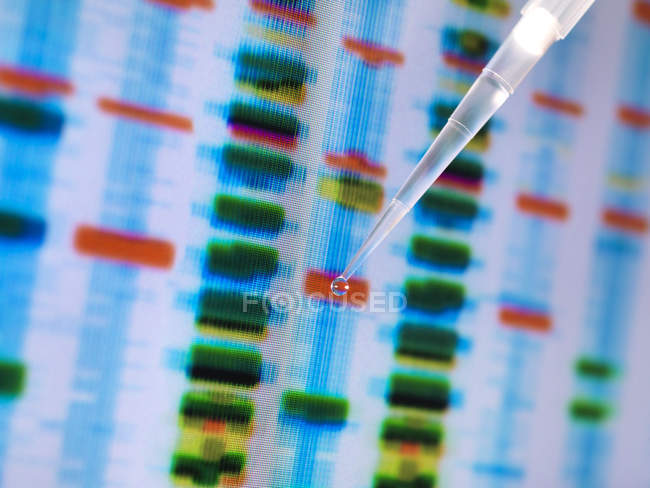 Campione di DNA in una pipetta con i risultati su un computer sceeen in un laboratorio — Foto stock