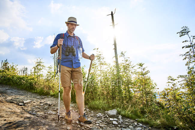 Hombre caminando cuidadosamente con bastones de senderismo en el sendero - foto de stock