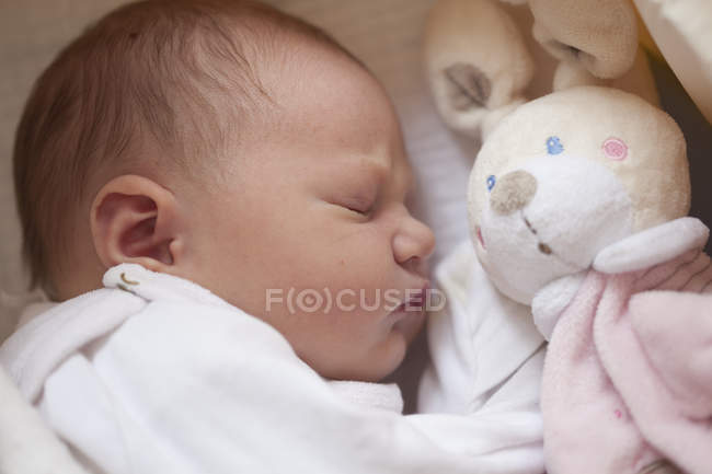 Sleeping baby girl with toy bunny — Stock Photo