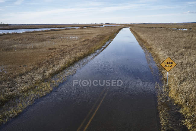 Estados Unidos, Maryland, Cambridge, inundación de marea alta debido al aumento del nivel del mar en el Refugio Nacional de Vida Silvestre Blackwater - foto de stock