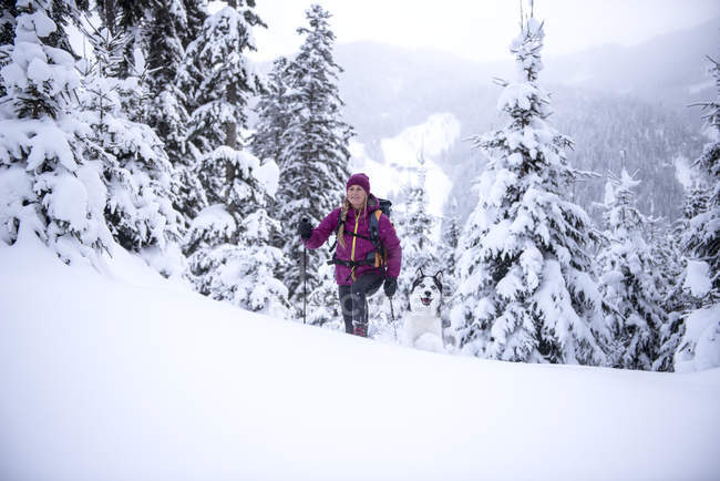 Австрия, Мбаппе, молодая женщина с собакой на лыжной прогулке в зимнем лесу — стоковое фото