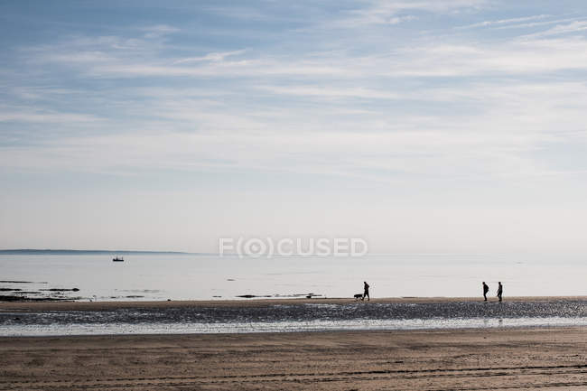 França, Normandia, Barneville-Carteret, Barnville beach, beach stroll — Fotografia de Stock