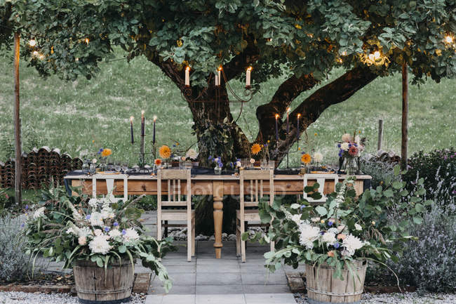 Святковий стіл з свічками під дерево — стокове фото