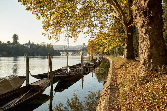 Svizzera, Cantone di Sciaffusa, Sciaffusa, Reno e Weidlings tradizionali in autunno — Foto stock