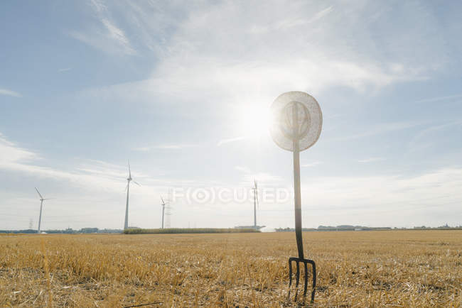 Вилы в поле в сельской местности с ветряными турбинами на заднем плане — стоковое фото