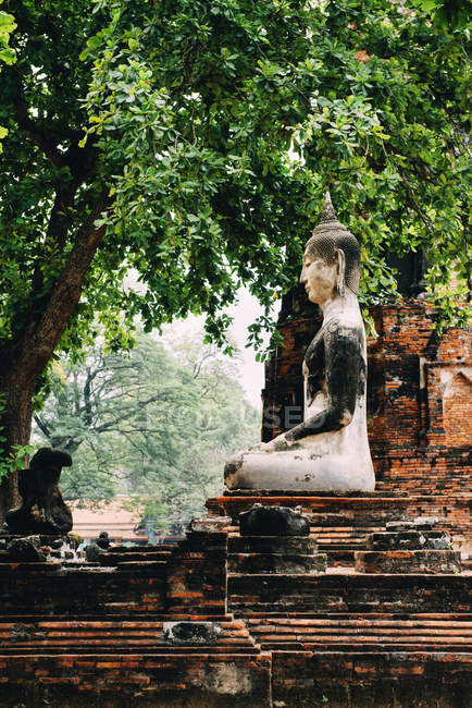 Thailandia, Ayutthaya, statua di Buddha circondata da pagode di mattoni a Wat Mahathat — Foto stock