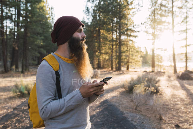 США, Північна Каліфорнія, бородатий чоловік з мобільного телефону в лісі біля вулканічного національного парку Лассен — стокове фото