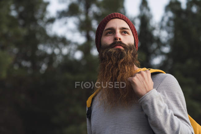 Ritratto di uomo barbuto in una foresta — Foto stock