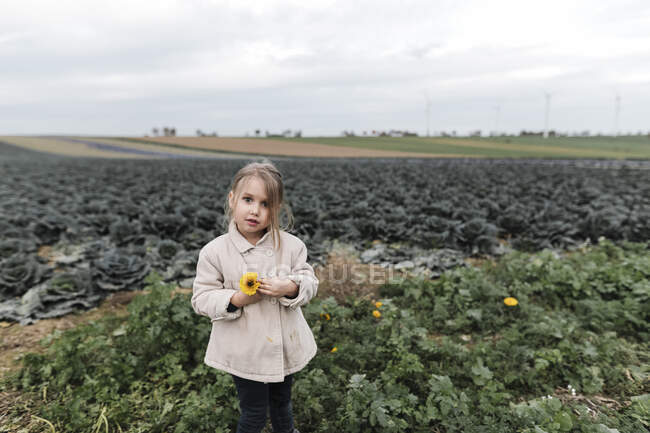 Retrato de una niña que se encuentra en un campo de jaulas con una flor - foto de stock