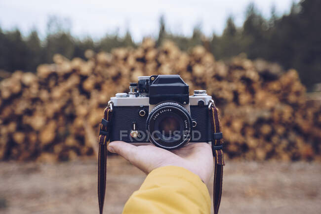 Hand hält eine Kamera vor einen Holzstapel — Stockfoto